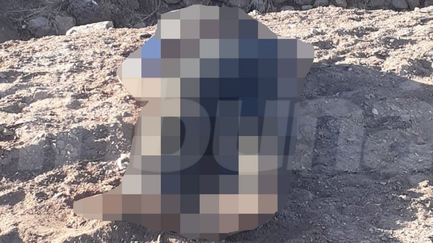 Macabro hallazgo: Abandonan a hombre ejecutado en predio del Valle del Yaqui