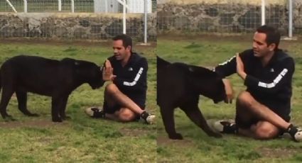 VIDEO: Pantera intenta ataca a su cuidador y este logra zafarse al hacer esto