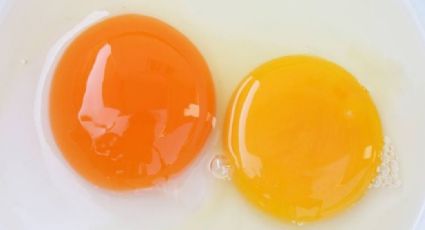 ¿Sabías que las propiedades de la yema de huevo fortalecen la mucosa de los pulmones?