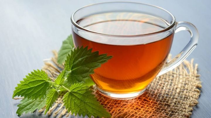 Té de menta: Protege tu cuerpo de enfermedades respiratorias con este sencillo consejo