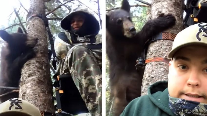 El impactante momento en que un oso se acerca peligrosamente a dos cazadores
