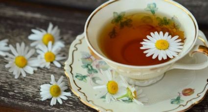 Conoce los grandes beneficios que otorgan a tu cuerpo las propiedades del té de manzanilla