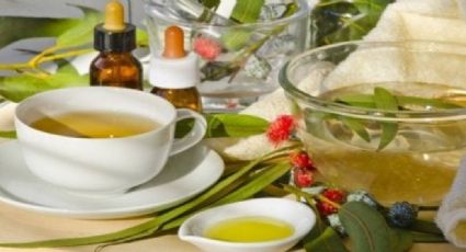 Receta para prepara té de eucalipto, jengibre y limón, para combatir los resfriados