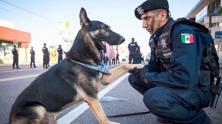 FOTOS: Policía enternece a todo Facebook al consolar a perrito abandonado