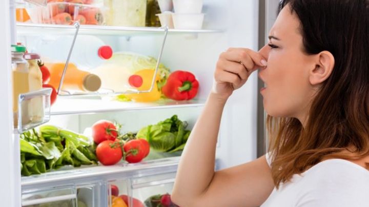 Estos consejos ayudan a eliminar el mal olor de tu refrigerador provocado por la humedad