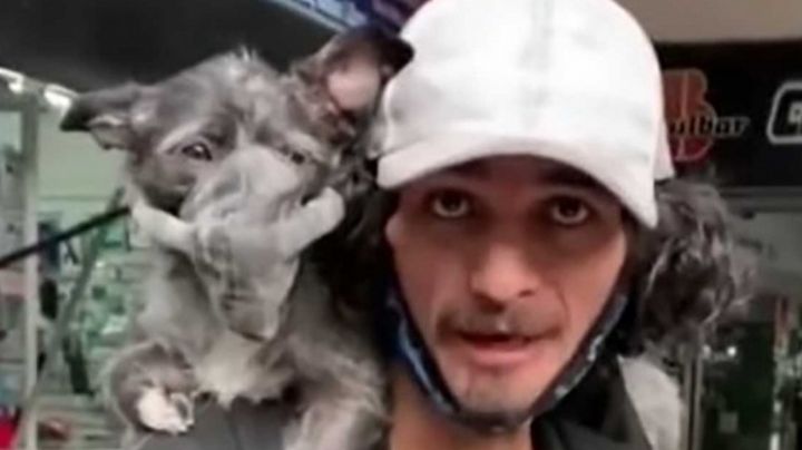 VIDEO: Tierna perrita causa sensación en redes; se llama 'Mariguana' y usa cubrebocas