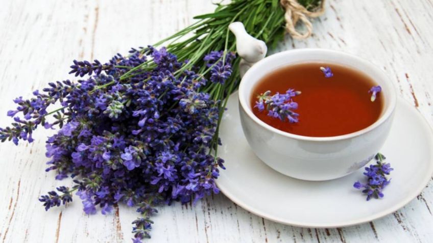 Receta bastante sencilla para poder preparar un delicioso té de lavanda