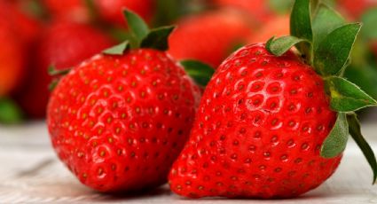 ¡Hay insectos en tus fresas! Los científicos determinan qué tan saludable es consumir esta fruta