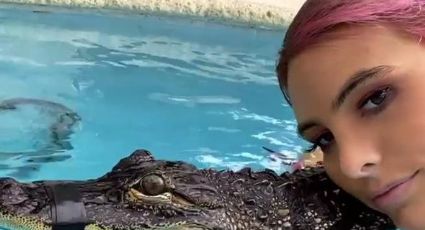 Acusan a Lele Pons y Guaynaa de maltrato animal por nadar en alberca con cocodrilo
