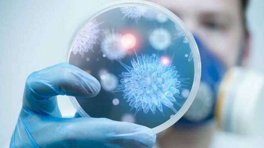 Covid-19: Científicos confirman que nueva cepa sudafricana es más contagiosa