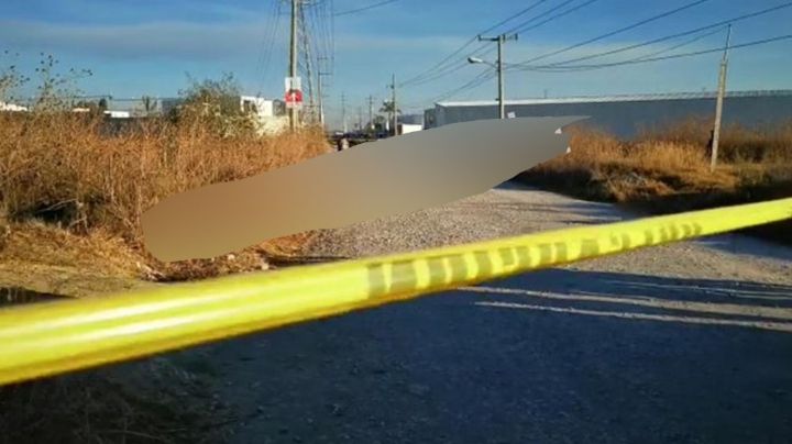 Autoridades encuentran el cadáver de una persona mientras era devorada por perros