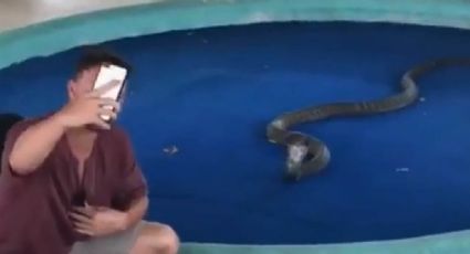 VIDEO: Hombre intenta fotografiarse con una gran serpiente y recibe tremendo susto