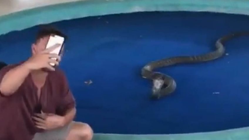 VIDEO: Hombre intenta fotografiarse con una gran serpiente y recibe tremendo susto