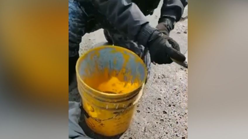 VIDEO: Autoridades ponen a salvo a un cocodrilo que deambulaba por calles de la CDMX