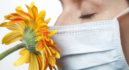 Pérdida de olfato: Estudios comprueban que es el mayor síntoma para detectar el Covid-19