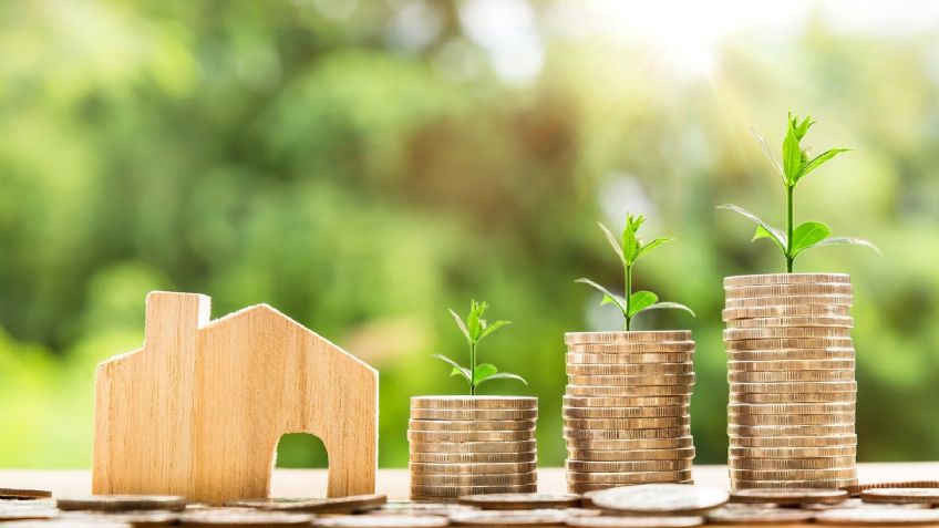 ¿Quieres ahorrar dinero? Estos consejos de consumo responsable podrían ayudarte con eso