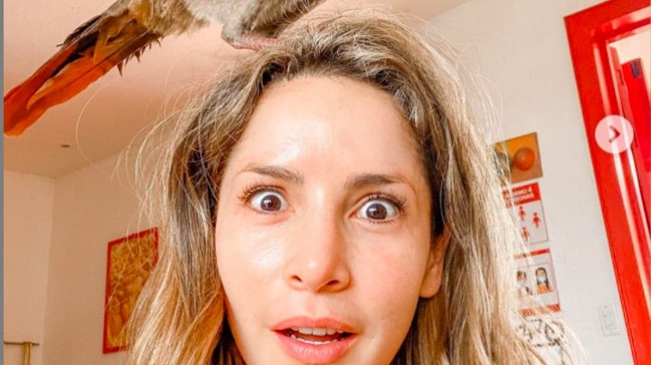 Carmen Villalobos aparece con una enorme ave en la cabeza