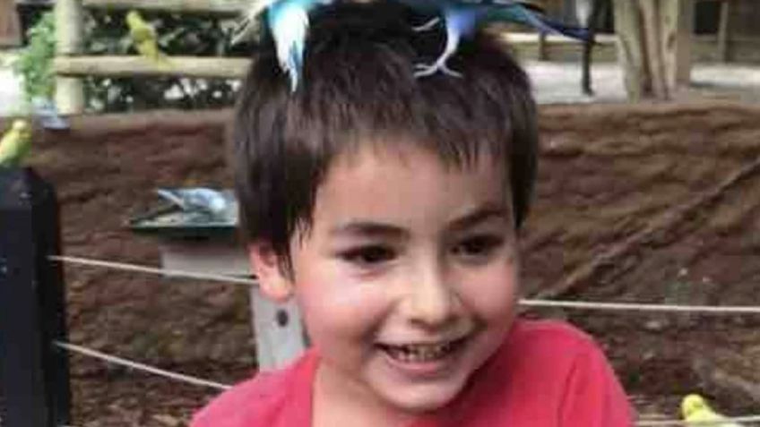 ¡De pesadilla! A Cameron lo mató un pitbull a mordidas en su propia casa; tenía solo 6 años