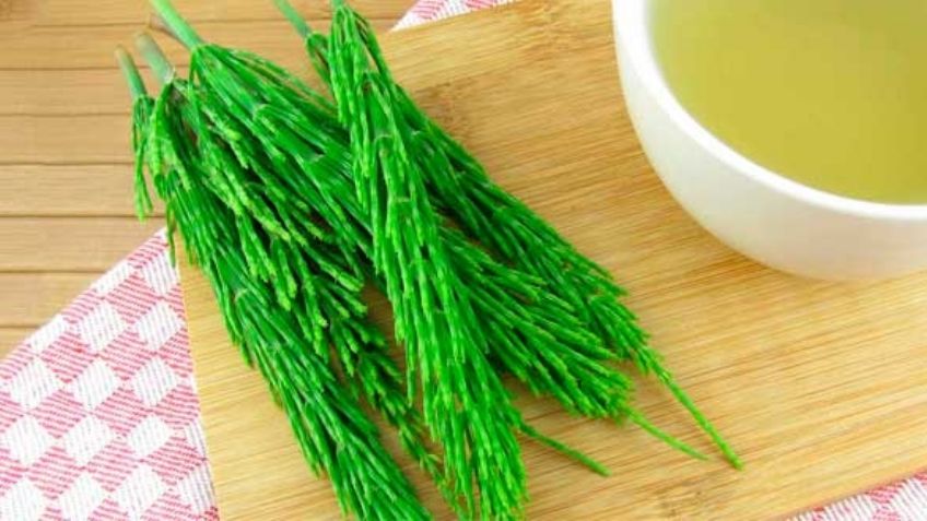 ¿Y tú conoces la cola de caballo? Quedarás en 'shock' después de descubrir sus beneficios