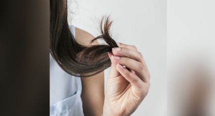 Cómo olvidarse de las puntas abiertas sin tener que recurrir al corte de cabello