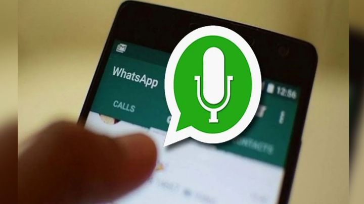 Enviar el mismo audio de WhatsApp a varios contactos es posible con estos pasos