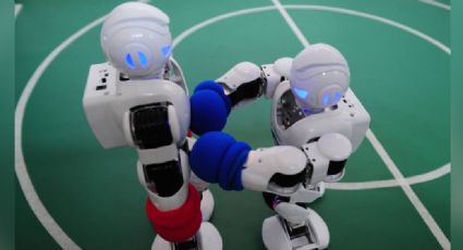 Robots protagonizan épica pelea en plena biblioteca y las redes enloquecen: "Parecen novios"