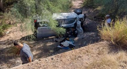 ¡De no creerse! Vaca ocasiona brutal accidente en carretera de Sonora; reportan 7 víctimas