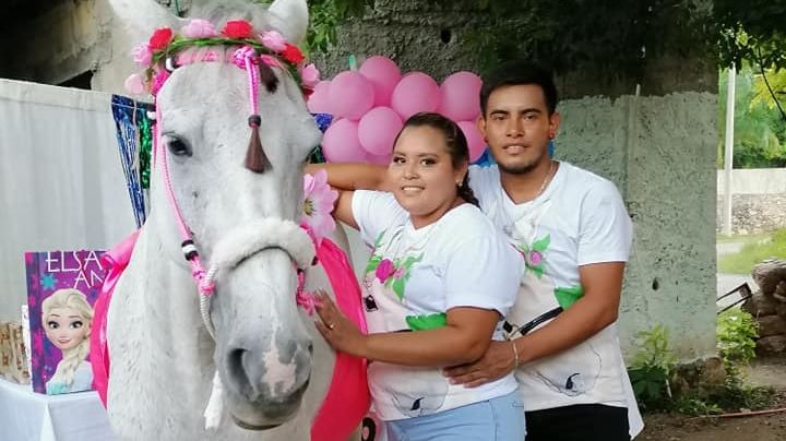 FOTOS: Familia festeja el 'baby shower' de 'Camila', su yegua; hay pastel y regalos