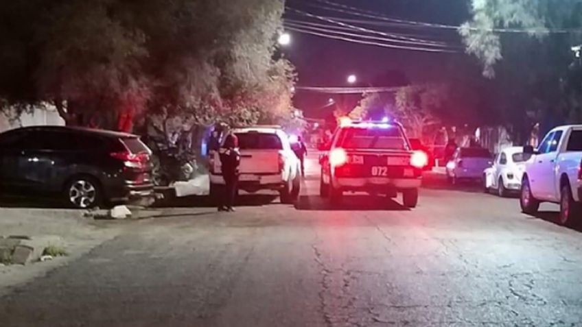 Hermosillo: Halló a su perro sin vida en el patio; su vecina lo había amenazado ese día