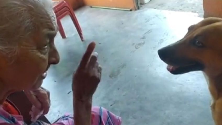 VIDEO: El tierno regaño de una señora a su perrito por salir de casa se hace viral por TikTok