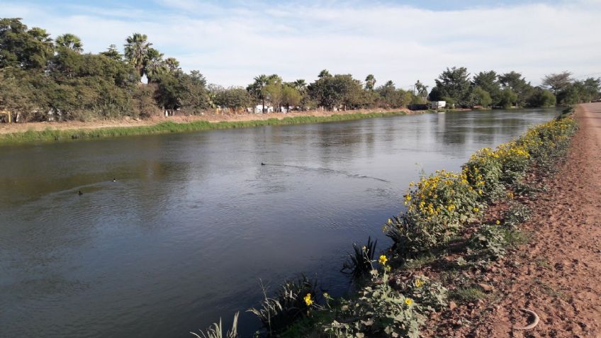 Tragedia: Identifican a víctima que pereció ahogada en Canal de Cajeme; tendría 50 años