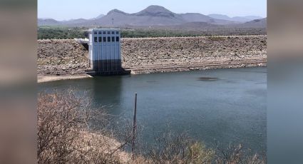 Sequía hídrica permanece y amenaza a la actividad primaria en el sur de Sonora