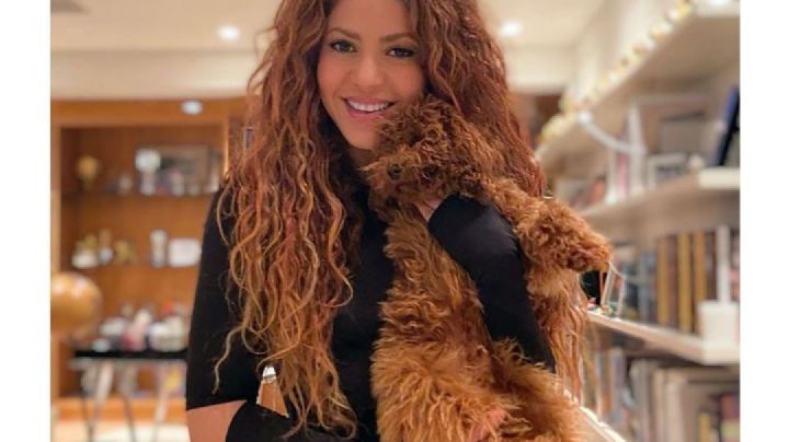 ¿Espera otro bebé? Fans de Shakira enloquecen al notar una "pista" en VIDEO de la artista