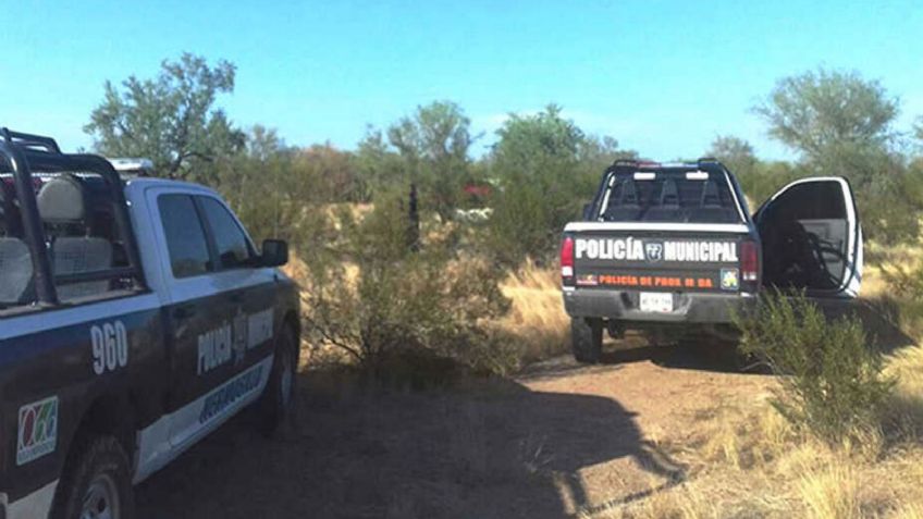 Buscadoras por la Paz ubican fosa con restos óseos al sur de Hermosillo