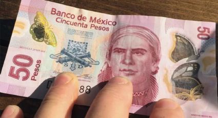 ¡Adiós Morelos! Banxico tendrá al ajolote como el protagonista del billete de 50 pesos