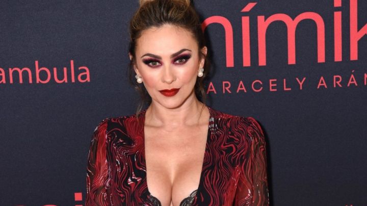 ¿En problemas legales? Aracely Arámbula lanza fuerte amenaza: "Se van a meter con la patrona"