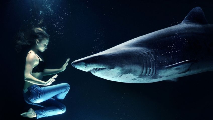 VIDEO: ¡Macabro hallazgo! Mujer va a bucear y termina frente a varios tiburones