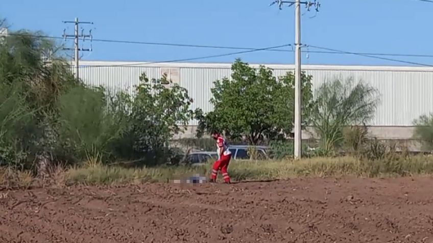 Cajeme: Comando armado aniquila a balazos a un hombre sobre un predio de cultivo