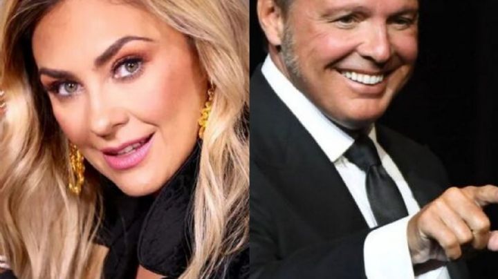 ¿Lo notaste? Aracely Arámbula sí habría aparecido en 'Luis Miguel, la serie'