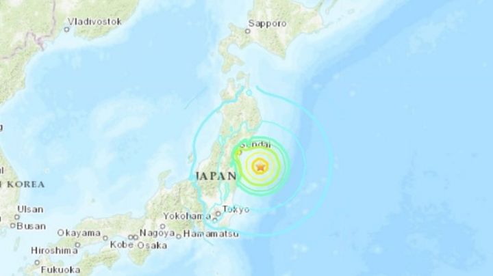 Pánico en Japón: Fuerte terremoto de 6.1 sacude Tokio; VIDEO muestra cómo se vivió el sismo