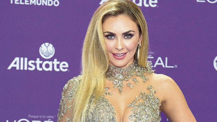 (VIDEO) Aracely Arámbula impacta al bailar con coqueta ropa íntima en Instagram: "Guapa"