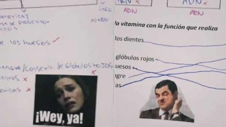FOTOS: Maestra se vuelve viral en TikTok tras calificar exámenes con ¿memes?