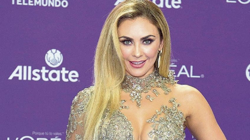 (VIDEO) Aracely Arámbula impacta al bailar con coqueta ropa íntima en Instagram: "Guapa"