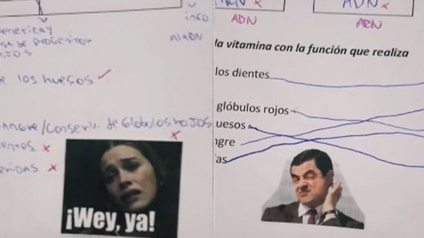 FOTOS: Maestra se vuelve viral en TikTok tras calificar exámenes con ¿memes?