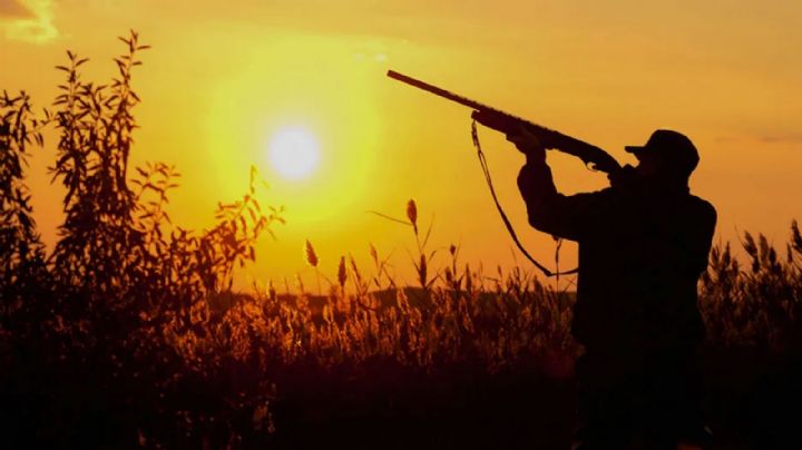 No más maltrato animal: Diputado propone erradicar caza deportiva contra especies en México