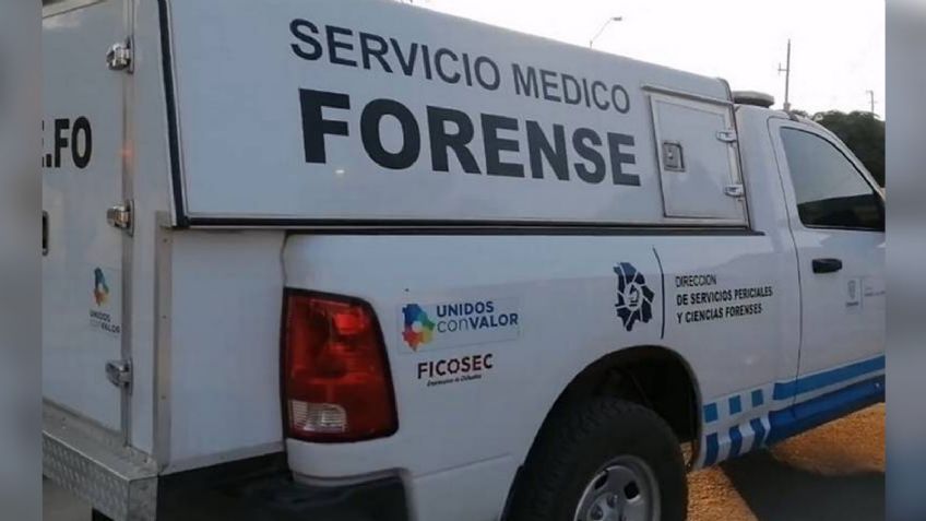 Cortado en partes y al interior de bolsas negras, localizan cuerpo en Guanajuato