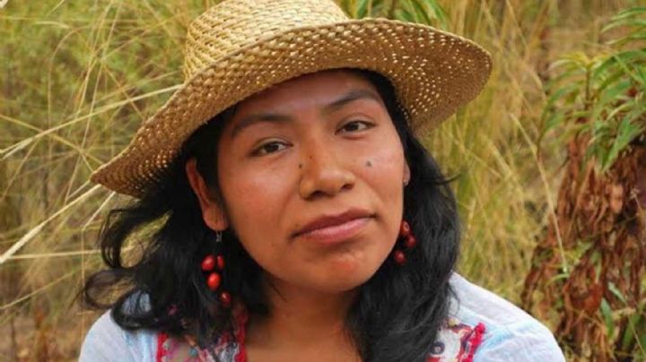 Alerta rosa en Oaxaca: Buscan a Irma Galindo, defensora del bosque desaparecida desde octubre