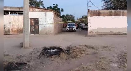 Masacre en Guanajuato: Ataque armado cobra la vida seis personas; hay seis lesionados
