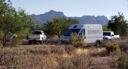Violencia en Sonora: Hallan 9 cuerpos sin vida en operativos de búsqueda por Caborca