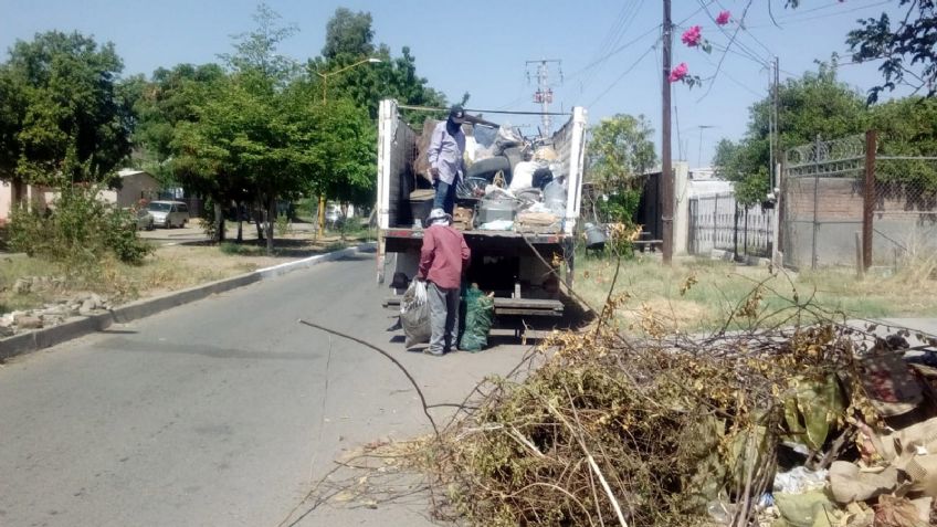 Se registran dos casos de dengue en Cajeme; autoridades invitan a tomar precauciones